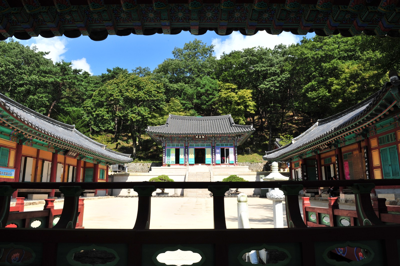 선본사