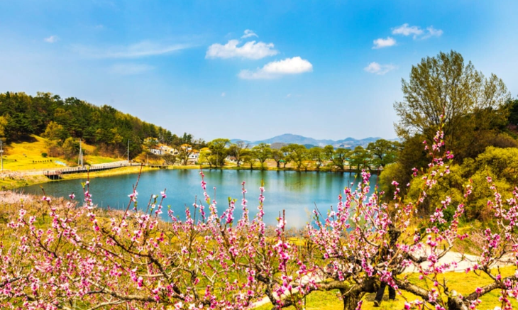 경산문화관광재단